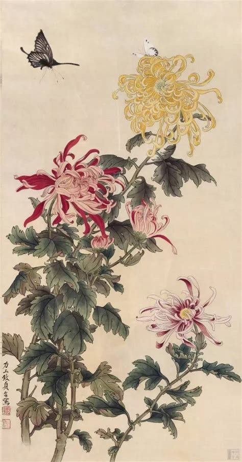 国画菊花|历代名家画菊